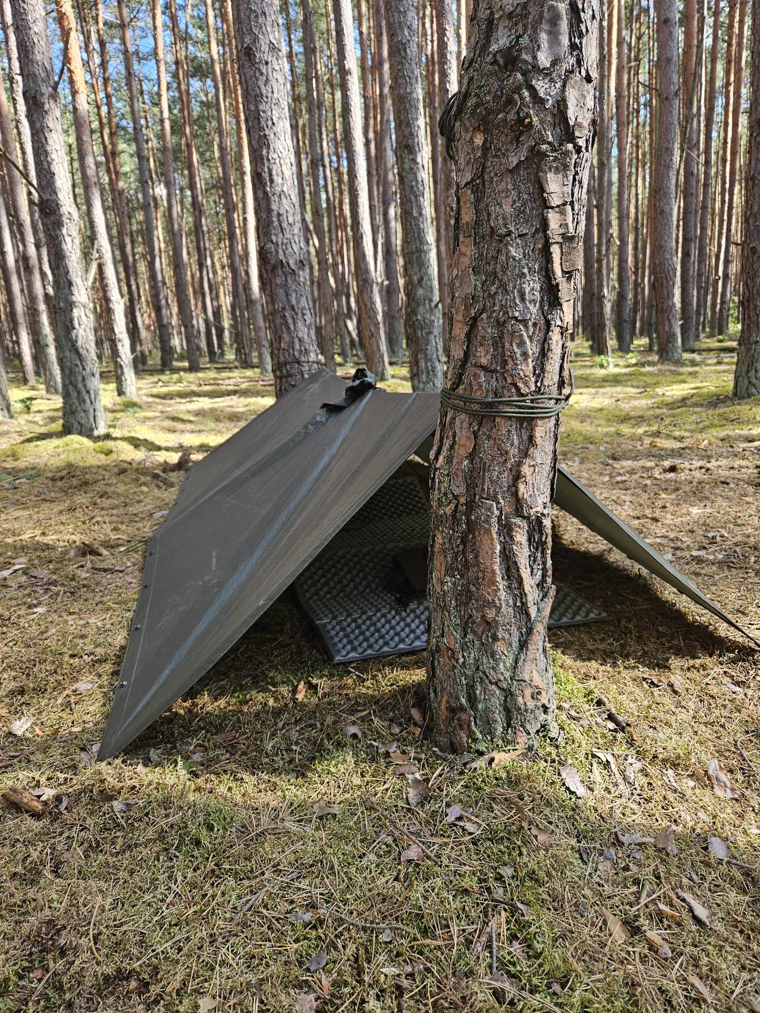 The Survival Weekend